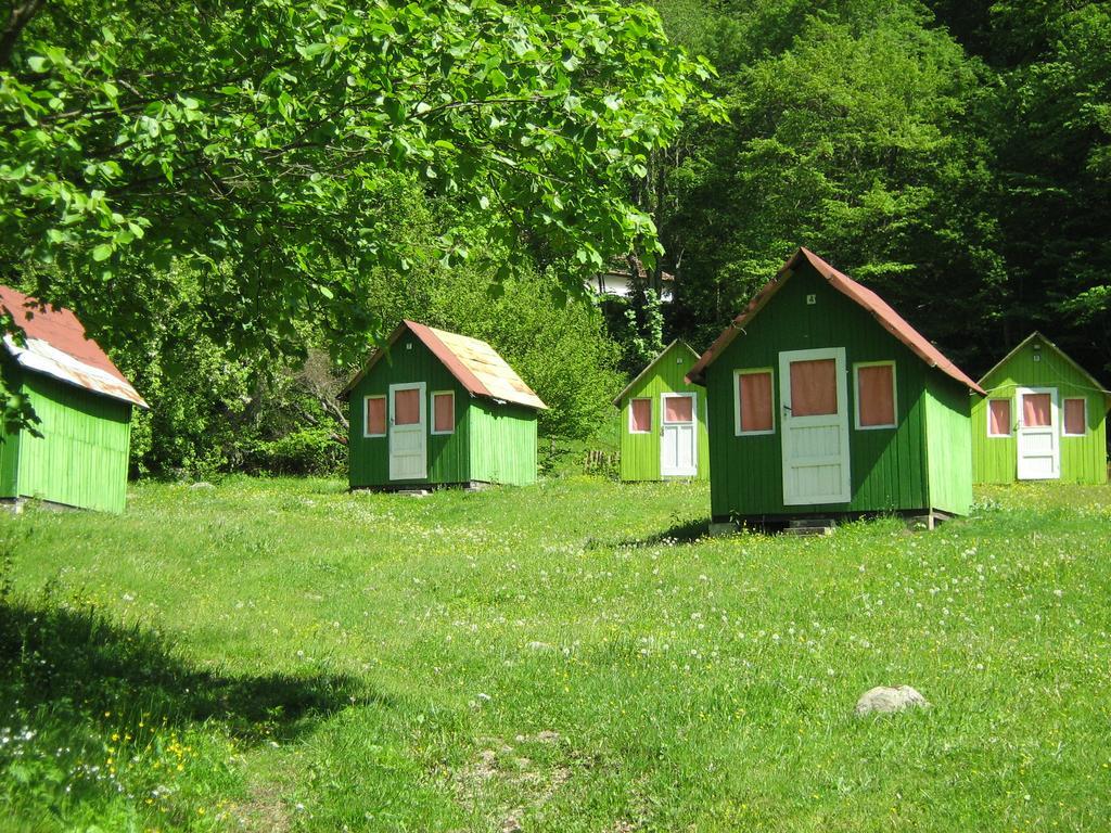 Camping Bor Rila Monastery Bagian luar foto