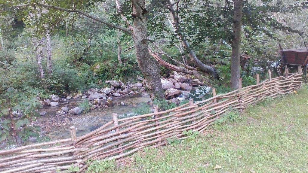 Camping Bor Rila Monastery Bagian luar foto