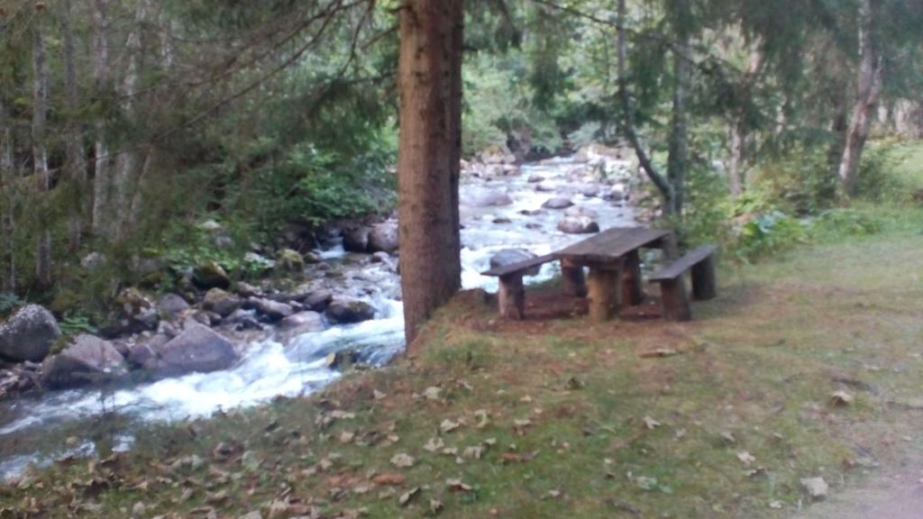 Camping Bor Rila Monastery Bagian luar foto